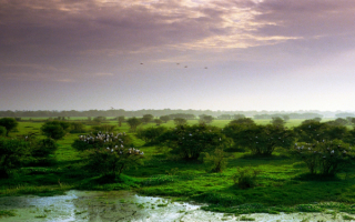 Кеоладео - национальный парк Индии