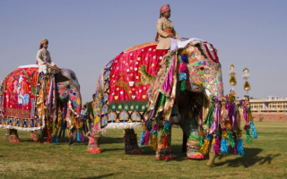 Парад слонов на фестивале в Джайпуре