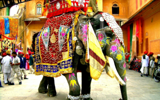 Украшенный индийский слон
