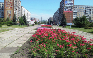 Вид на улицу Франкфурта