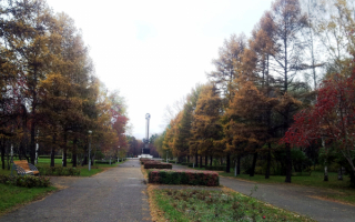 Парк Гагарина в Новокузнецке