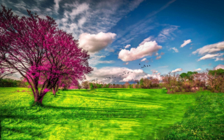 Весенний день