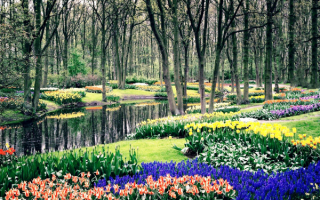 Весна цветы