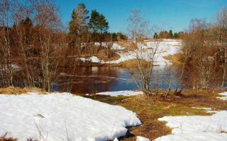 Солнечный день ранней весны