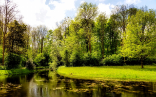 Весна на тихой речке