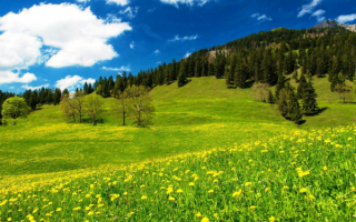 Весенний пейзаж