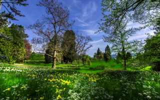 Весенняя картинка природы