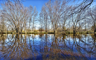 Весна на берегу
