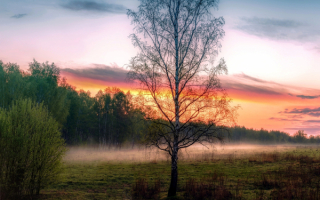 Весна рассвет