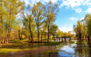 Весна разлив