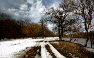 Проталины ранней весны