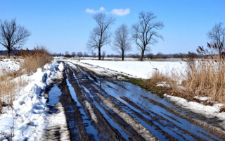Ранняя весна на проселке