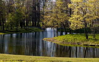 Весенний день