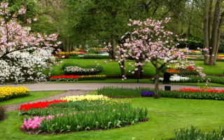 Картинка весны