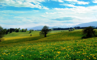Весна на холмах