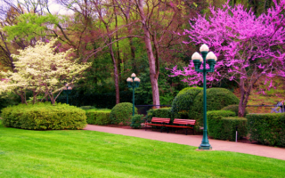 В парк пришла весна