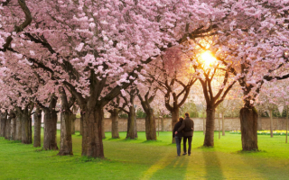 Весеннее свидание