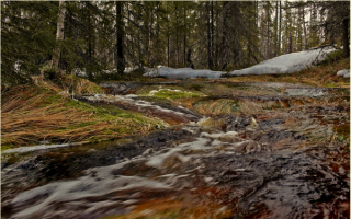 Весенний ручеек