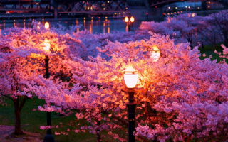 Весенний вечер