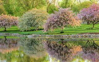 Весна красивая