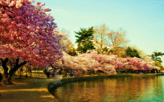 Весна на набережной