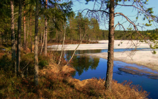 Весна на озере