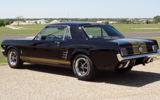 1966 Ford Shelby GT 350