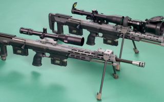 Снайперские винтовки DSR 1