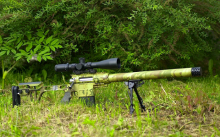Снайперская винтовка ДВЛ-10 М1 «Диверсант»