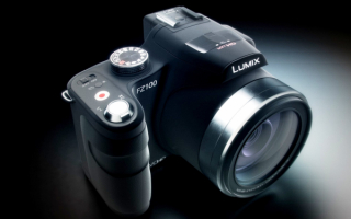 Фотоаппарат Lumix FZ100