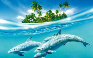 Дельфины у тропического острова