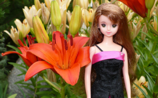 Кукла с цветами