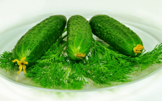 Свежие огурчики