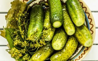 Малосольные огурчики