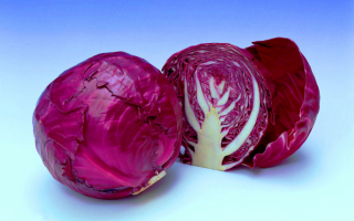Капуста краснокачанная