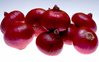 Лук репчатый красный