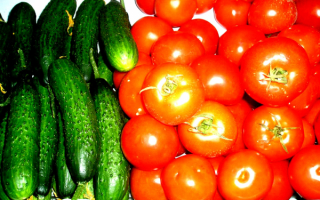 Огурцы и помидоры