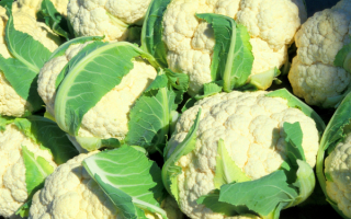 Цветная капуста
