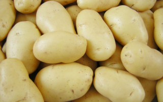 Картофель