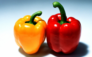 Перец болгарский
