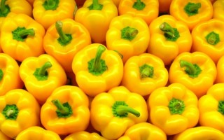 Перец сладкий