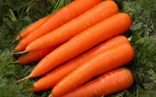 Сладкая морковь