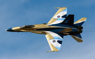 FA-18 Hornet - американский палубный истребитель-бомбардировщик