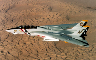 Grumman F-14 Tomcat