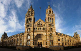 Британский музей естественной истории