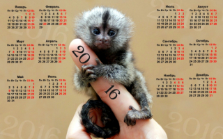 Календарь на 2016 год