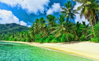 Изумрудное море пляж пальмы