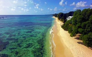 Пляжный берег Барбадоса
