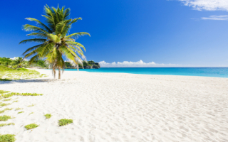 Песочный пляж на острове Барбадос