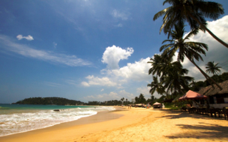 Пляж Мирисса. Шри-Ланка